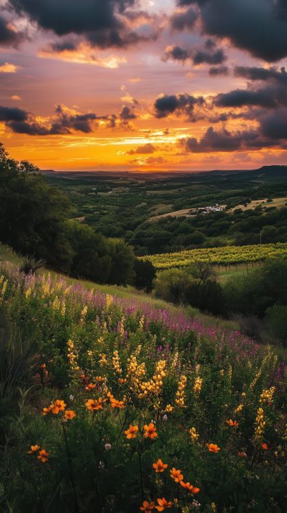 Concierge In-Home Care, Compassionate Care, Delivered with Heart, Kerrville, Texas